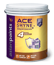 Ace Shyne
