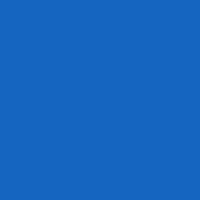 Universal Stainer - Fast Blue