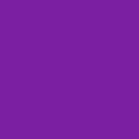 Universal Stainer - Violet